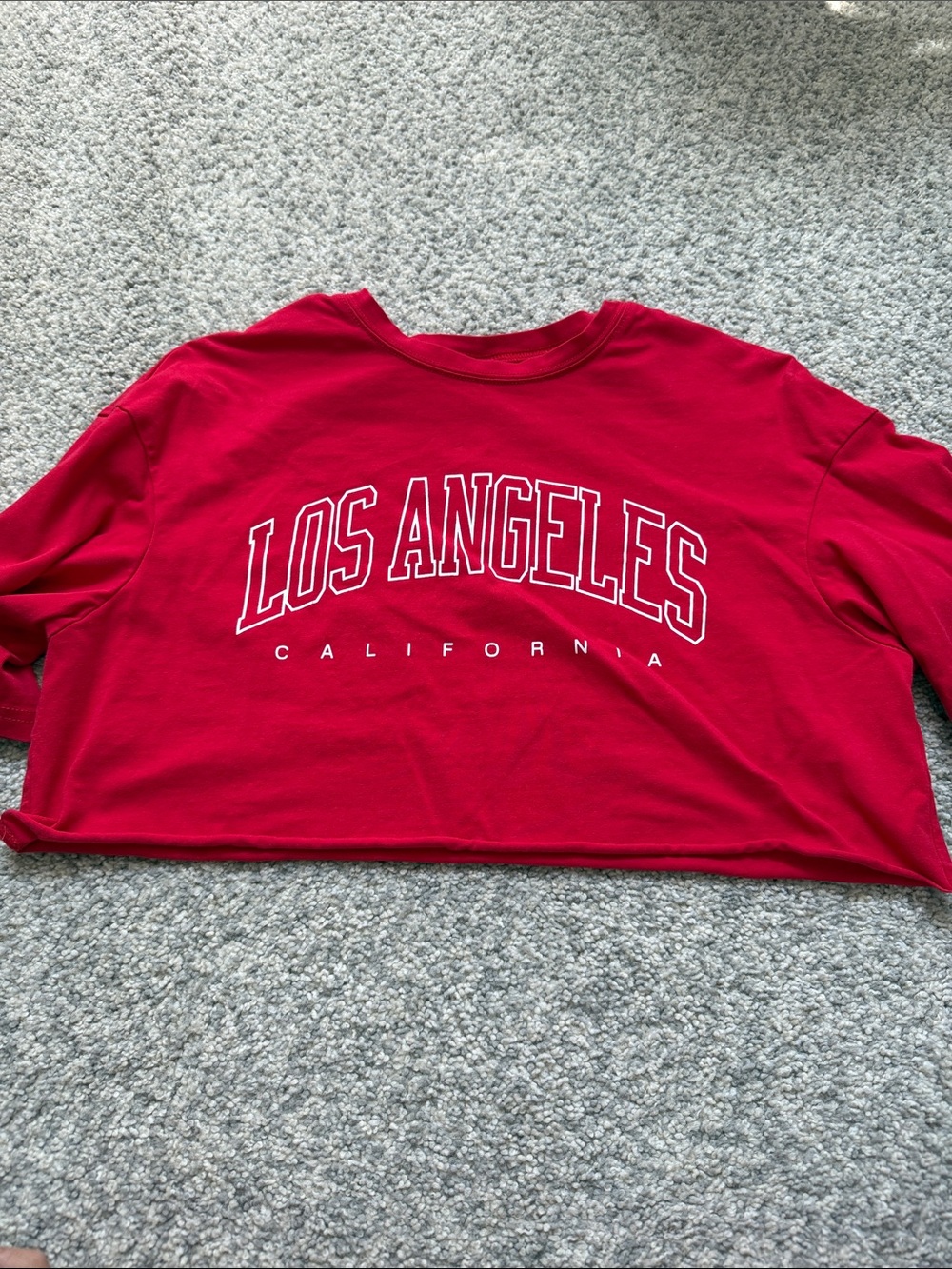 Red Graphic Cropped Sweatshirt